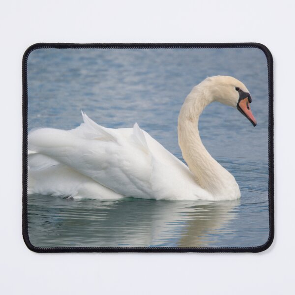 Item preview, Lone Swan on a Pond designed and sold by Split2ndPhotos.