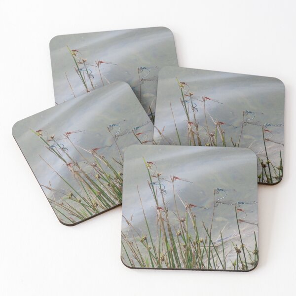 Item preview, Damselfly Lovefest at Bordertown South Australia designed and sold by Todays a Good Day.