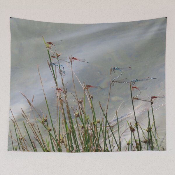 Item preview, Damselfly Lovefest at Bordertown South Australia designed and sold by Todays a Good Day.