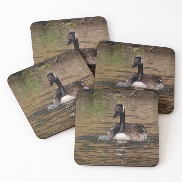 Item preview, Canada Goose On The Water designed and sold by Split2ndPhotos.