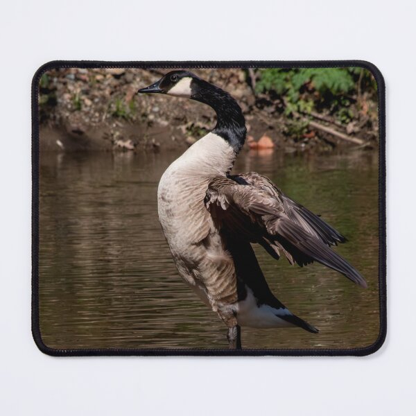 Item preview, Goose Flex designed and sold by Split2ndPhotos.