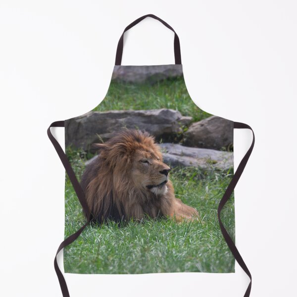 Item preview, León descansando designed and sold by Split2ndPhotos.
