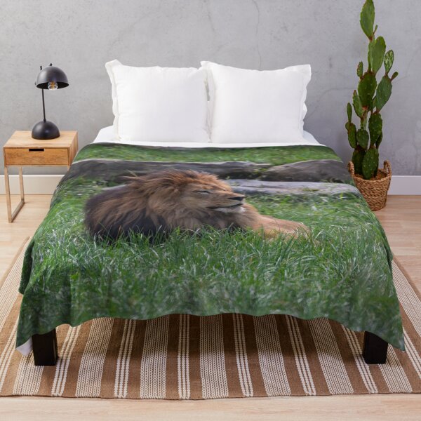 Item preview, Lounging Lion designed and sold by Split2ndPhotos.
