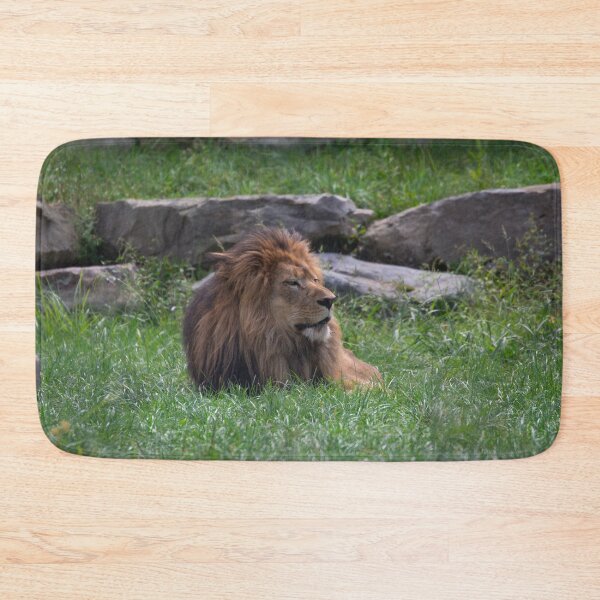 Item preview, Lounging Lion designed and sold by Split2ndPhotos.