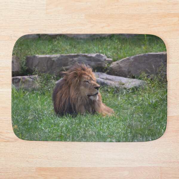 Item preview, Lounging Lion designed and sold by Split2ndPhotos.
