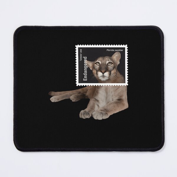 Item preview, Stamp Framed Florida Panther designed and sold by webvein.