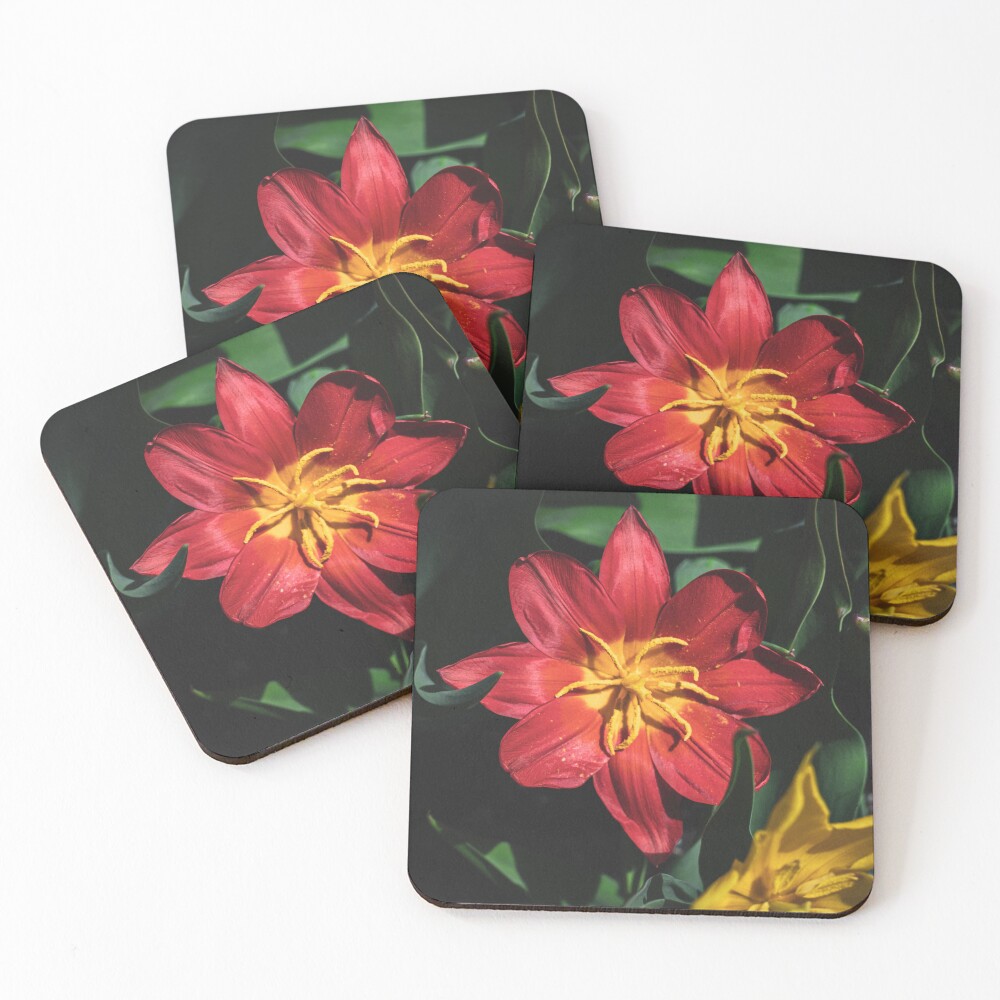 Item preview, Coasters (Set of 4) designed and sold by Split2ndPhotos.