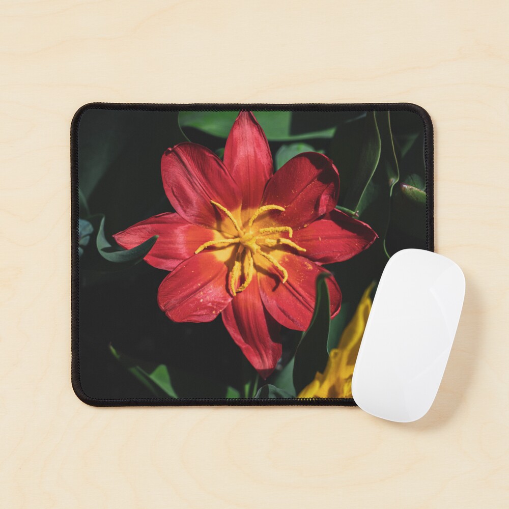 Item preview, Mouse Pad designed and sold by Split2ndPhotos.
