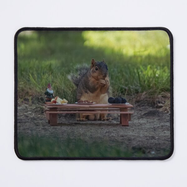 Item preview, Squirrel at a Picnic designed and sold by Split2ndPhotos.