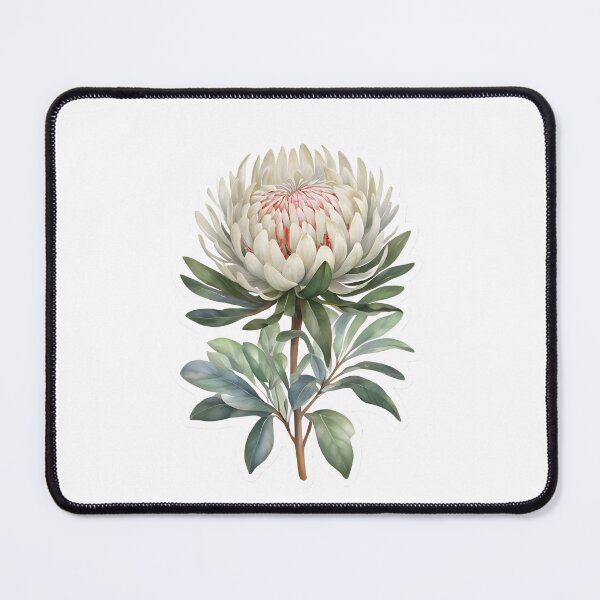 Item preview, White Waratah designed and sold by HOMETOWN86.