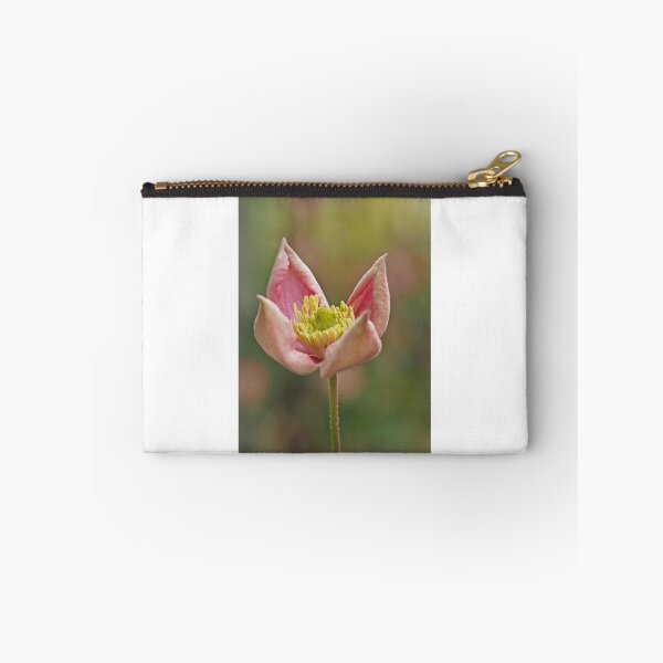 Item preview, Clematis Montana Rubens designed and sold by Judi Lion.