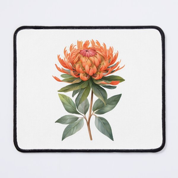 Item preview, Orange Waratah designed and sold by HOMETOWN86.