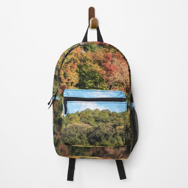 Item preview, Eikando Temple or Zenrinji Hojo Pond Autumn designed and sold by aaronchoi.