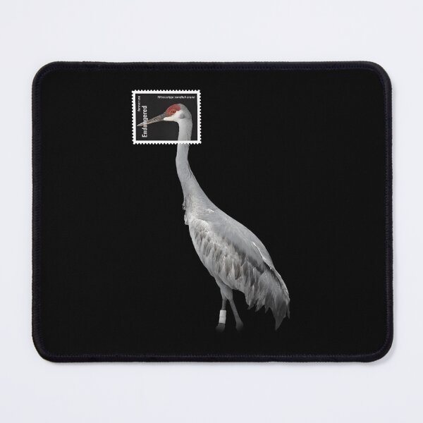 Item preview, Stamp Framed Mississippi Sandhill designed and sold by webvein.