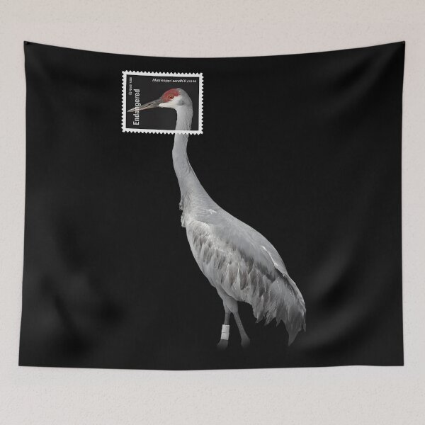 Item preview, Stamp Framed Mississippi Sandhill designed and sold by webvein.
