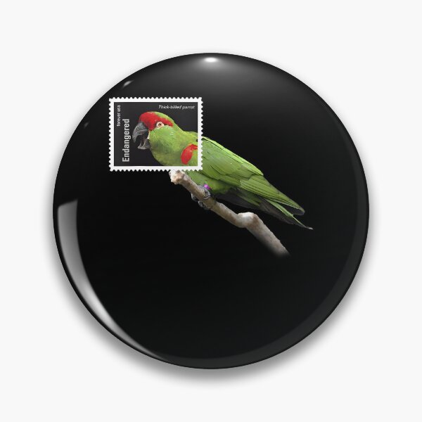 Item preview, Stamp Framed Thick Billed Parrot designed and sold by webvein.