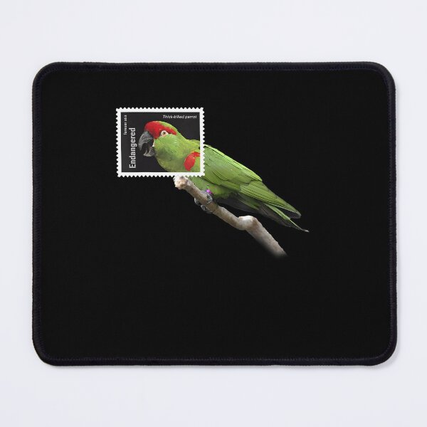 Item preview, Stamp Framed Thick Billed Parrot designed and sold by webvein.