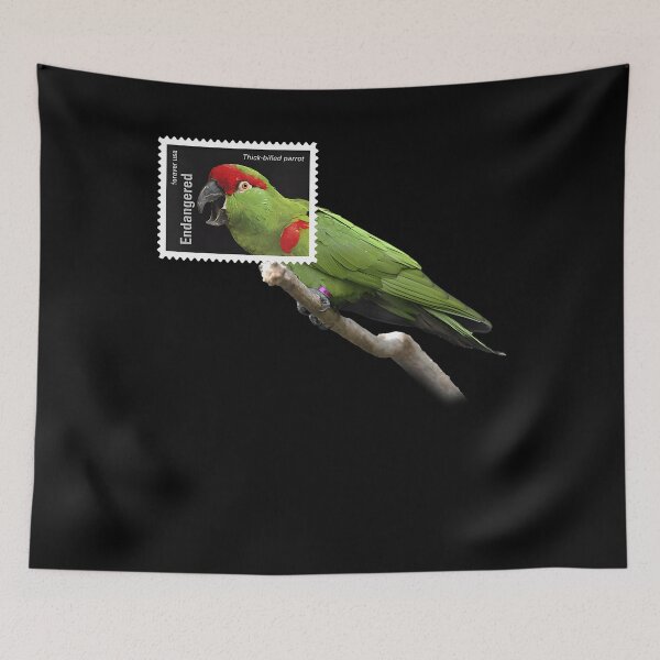 Item preview, Stamp Framed Thick Billed Parrot designed and sold by webvein.