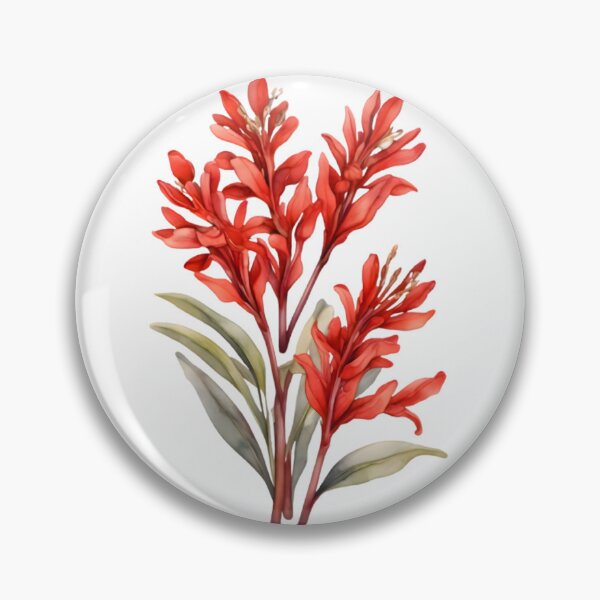 Item preview, Red Kangaroo Paw designed and sold by HOMETOWN86.