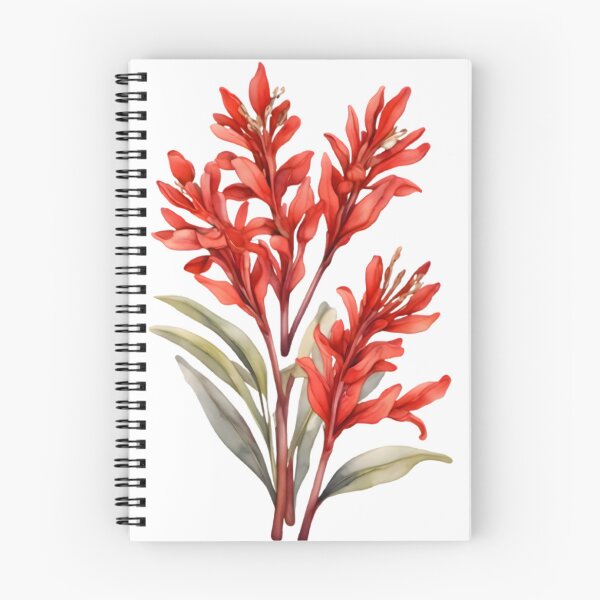 Item preview, Red Kangaroo Paw designed and sold by HOMETOWN86.