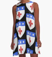 French France Coat of Arms 1477 Blason de la ville de Beaulieu lès Loches A-Line Dress