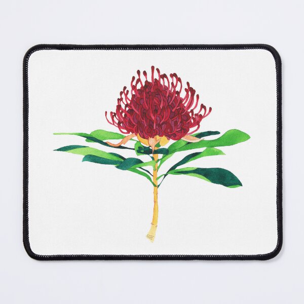Item preview, Australian Waratah Watercolour designed and sold by Katy Tuesday .