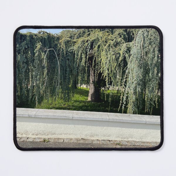 Item preview, Nature exploring designed and sold by Dab2384.