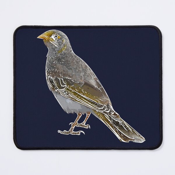 Item preview, Yellow-throated Miner White Alternate Design  designed and sold by designsasstultd.
