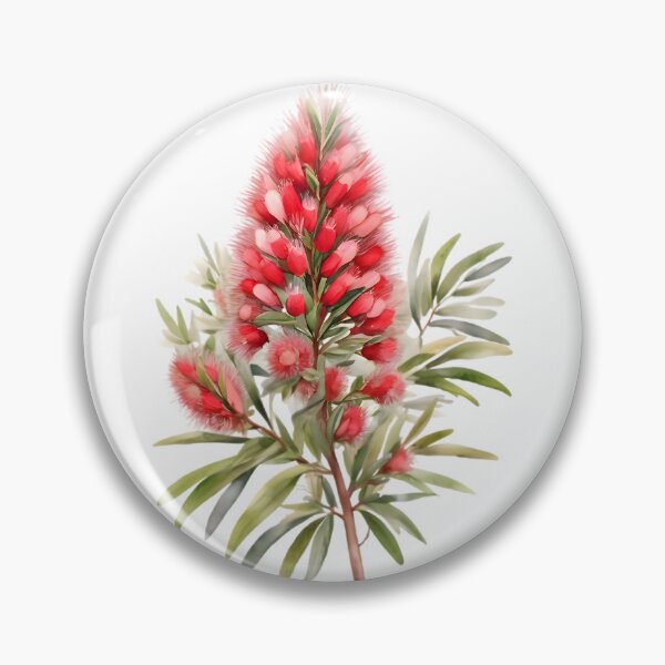 Item preview, Red Bottlebrush (Callistemon spp.) designed and sold by HOMETOWN86.
