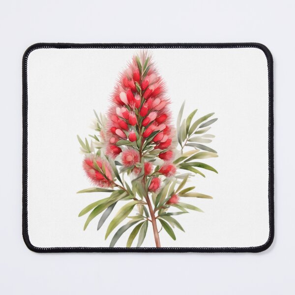 Item preview, Red Bottlebrush (Callistemon spp.) designed and sold by HOMETOWN86.