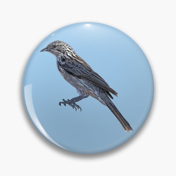 Item preview, Striped Honeyeater Color Design  designed and sold by designsasstultd.