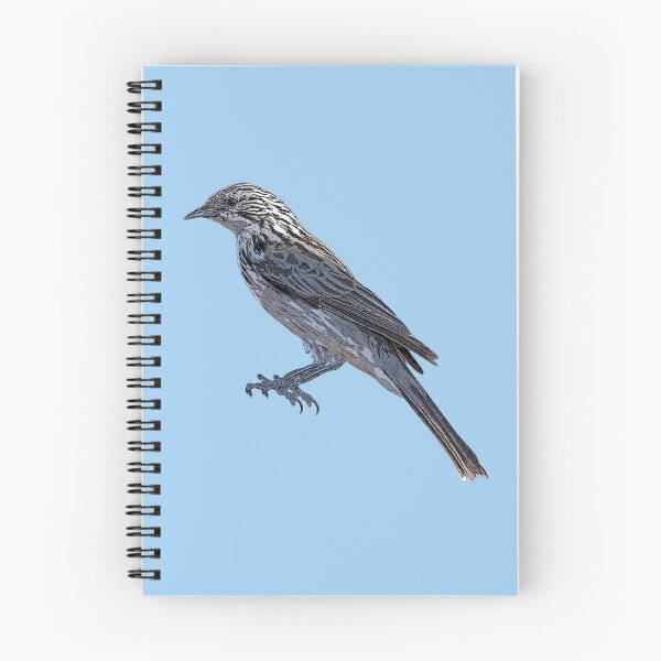 Item preview, Striped Honeyeater Color Design  designed and sold by designsasstultd.
