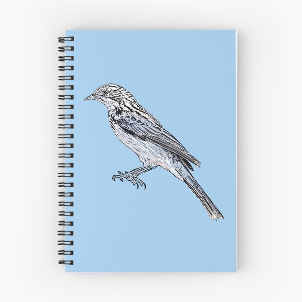 Item preview, Striped Honeyeater Black Alternate Design  designed and sold by designsasstultd.