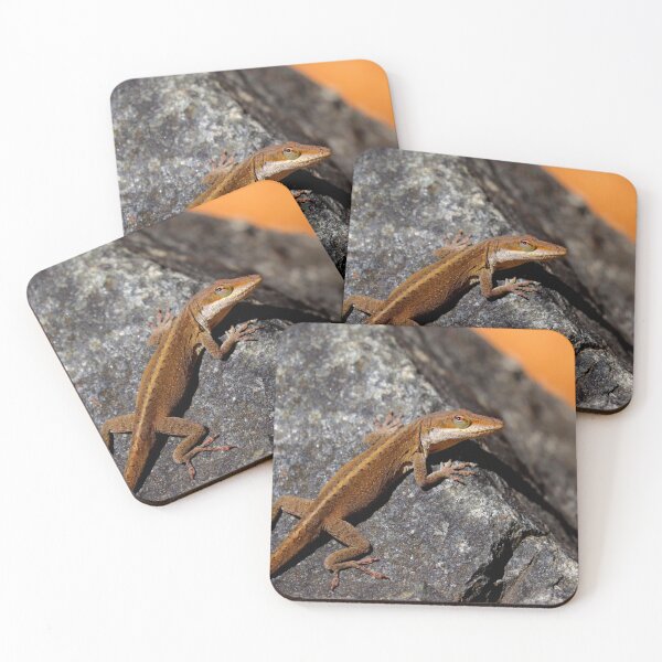 Item preview, Anolis designed and sold by Parks and X.
