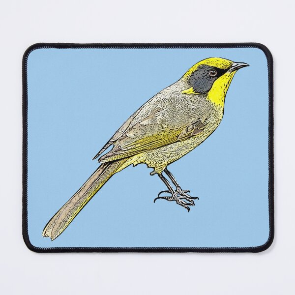 Item preview, Yellow-tufted Honeyeater Black Alternate Design  designed and sold by designsasstultd.