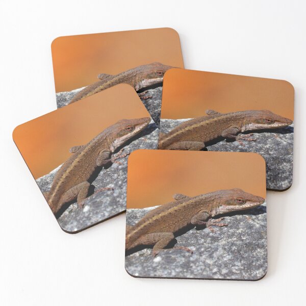 Item preview, Carolina Anole designed and sold by Parks and X.