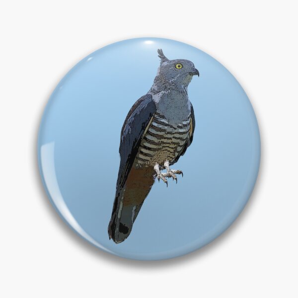 Artikelvorschau, Pacific Baza Farbdesign entworfen und verkauft von designsasstultd.