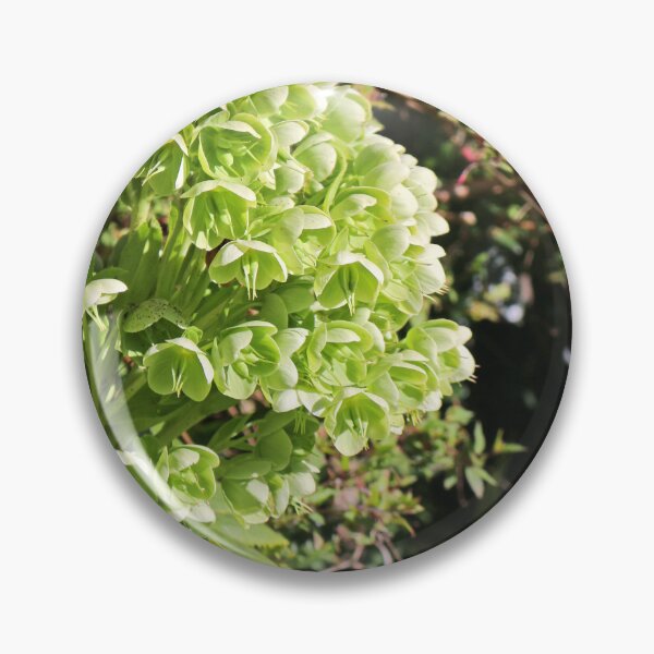 Item preview, Green Hellebore designed and sold by pinkal.
