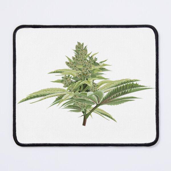 Item preview, Cannabis Bud Flower. Marijuana legalize symbol. designed and sold by MatyKotiv.