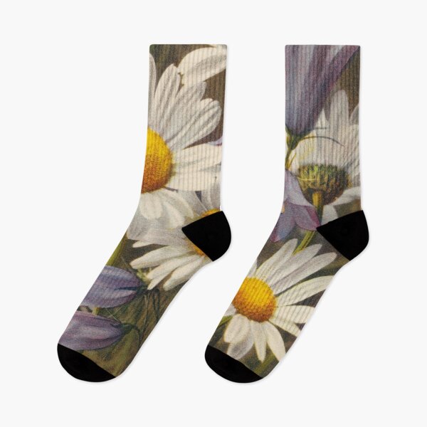 Item preview, Vintage Botanical Postcards: Chrysanthemum Leucanthemum and Campanula (Oxeye-daisy and Blue-bell) designed and sold by sleepyhenry.