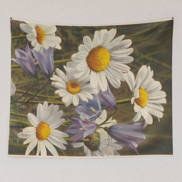Item preview, Vintage Botanical Postcards: Chrysanthemum Leucanthemum and Campanula (Oxeye-daisy and Blue-bell) designed and sold by sleepyhenry.