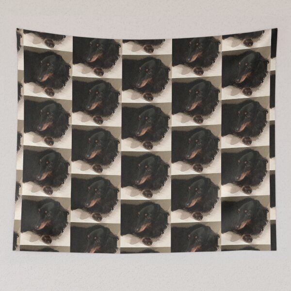 Item preview, Long-haired Dachshund dog cute face close-up designed and sold by SolidEarthArt.