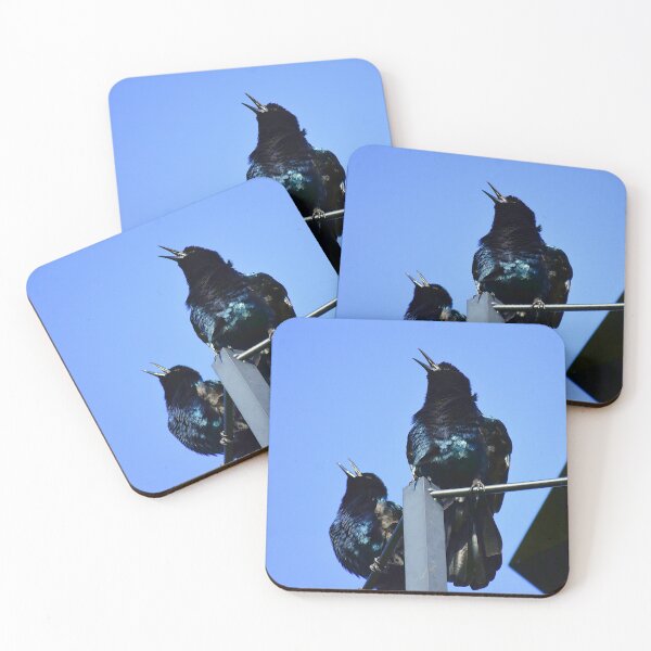Item preview, Singing Grackles designed and sold by MercerImages.