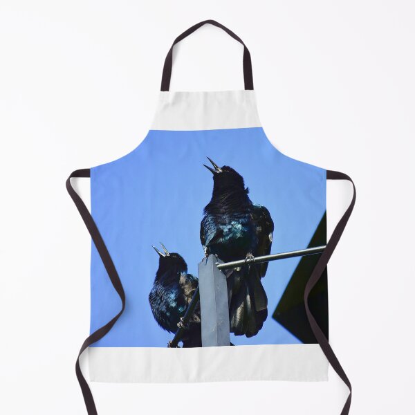 Item preview, Singing Grackles designed and sold by MercerImages.