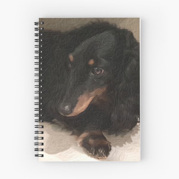 Item preview, Long-haired Dachshund dog cute face close-up designed and sold by SolidEarthArt.