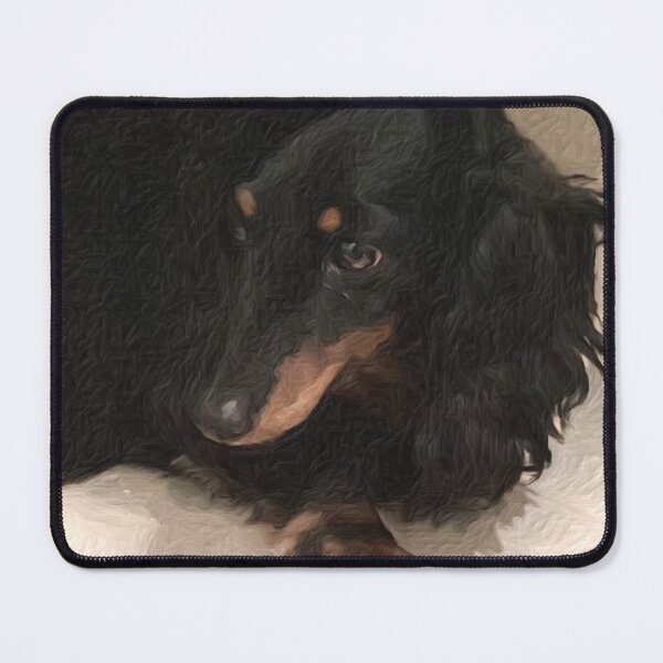 Item preview, Long-haired Dachshund dog cute face close-up designed and sold by SolidEarthArt.