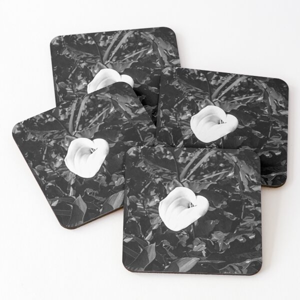 Item preview, Cala Lilly designed and sold by Claudia Larrain .