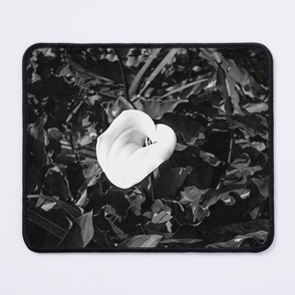 Item preview, Cala Lilly designed and sold by Claudia Larrain .
