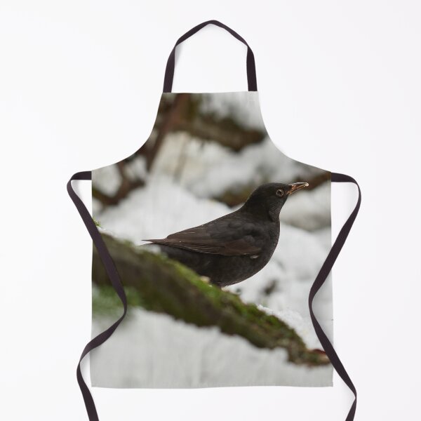 Item preview, Black on white. Eurasian blackbird designed and sold by Jouko Lehto Photography.