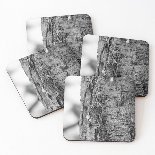 Item preview, Camo 3 Eurasian treecreeper bw designed and sold by Jouko Lehto Photography.